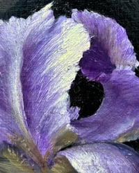 Image 2 of Wild Violet