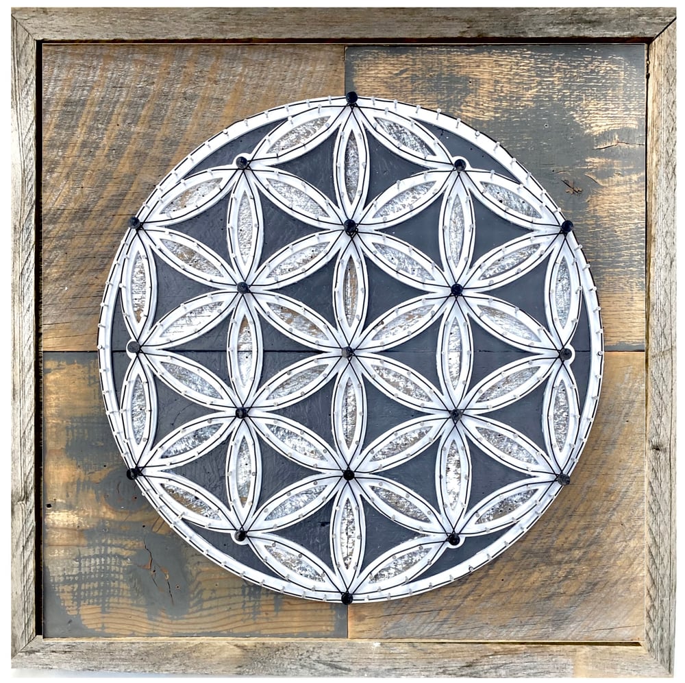 Image of Flower of life