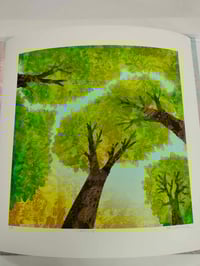 Image 3 of Looking Up 