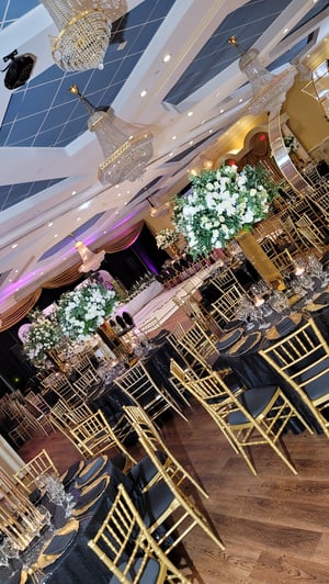 Image of Adult Gold chair - Resin chaivari gold Chair plus cushion