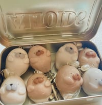 Image 1 of Magnetic Matching Seal Charms