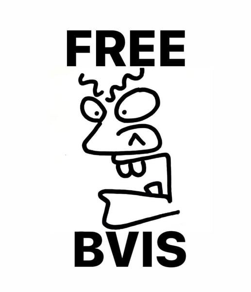 Image of PRE-ORDER - FREE BVIS