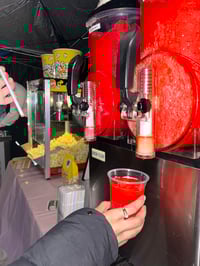 SLUSHEE MACHINE - DOUBLE BOWL