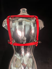 Image 1 of Red Square Back Harness