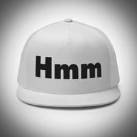 Image 4 of Hmm Flat Mesh Hat