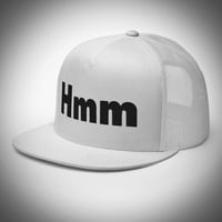 Image 3 of Hmm Flat Mesh Hat