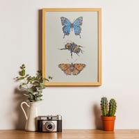 Image 1 of The Bee and The Butterflies limited edition art print