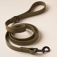 Laisse en Biothane Vert Olive