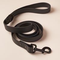 Laisse en Biothane Noire 