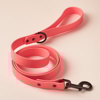 Laisse en Biothane Couleur Corail