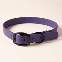 Image 2 of Collier en Biothane Violet