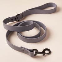 Laisse en Biothane Gris 