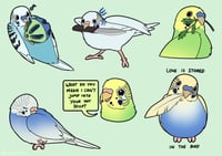 Budgies! Stickers