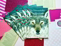 Image 4 of Distro: On Ederachillis' Shore