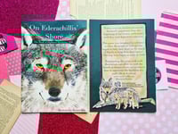 Image 2 of Distro: On Ederachillis' Shore