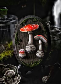 Image 2 of Amanita Muscaria Cycle I