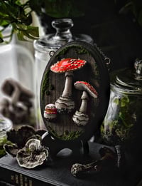 Image 1 of Amanita Muscaria Cycle I
