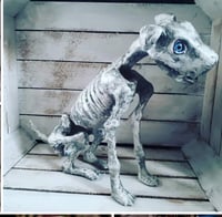Image 1 of Skelly Dog. Custom Skellington Dog. Large, Big Blue Eyes Sitting. Halloween Alternative Home Decor. 