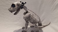 Image 2 of Skelly Dog. Custom Skellington Dog. Large, Big Blue Eyes Sitting. Halloween Alternative Home Decor. 