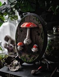Image 1 of X-Large Muscaria Cycle II