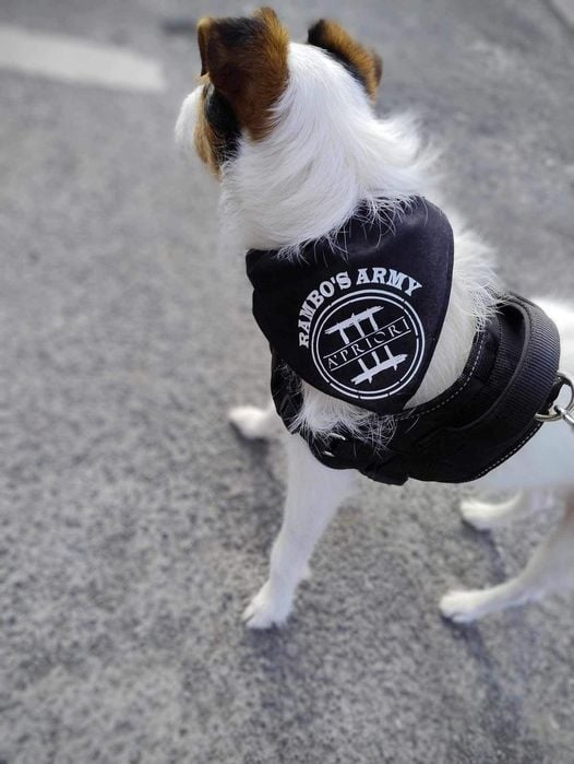 Image of Rambo's Army Bandana