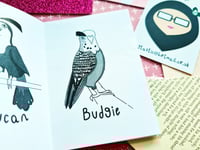 Image 2 of Distro: Birds with Eyebrows Volumes 1, 2, & 3
