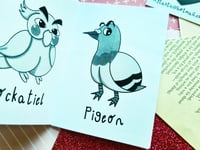 Image 3 of Distro: Birds with Eyebrows Volumes 1, 2, & 3
