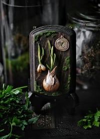 Image 2 of Small Wild Onions