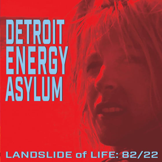 Image of Detroit Energy Asylum "Landslide of Life: 82/22"