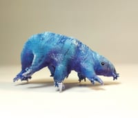 Image 3 of Mini Tardigrades