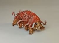 Image 4 of Mini Tardigrades