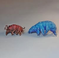 Image 1 of Mini Tardigrades