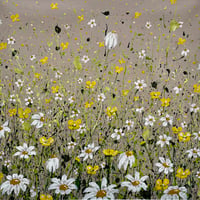 Image 1 of 'Marilyn's Meadow'