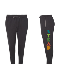 Stead Joggers multi color logo