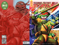 Image 3 of Teenage Mutant Ninja Turtles #150 (Shellheads United Exclusive) *SIGNED & REMARKED w/ color splash*