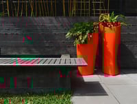 Image 1 of Coral Planter