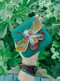 Image 1 of Like a Moth to a Flame - Jewelry Box 
