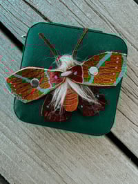 Image 3 of Like a Moth to a Flame - Jewelry Box 