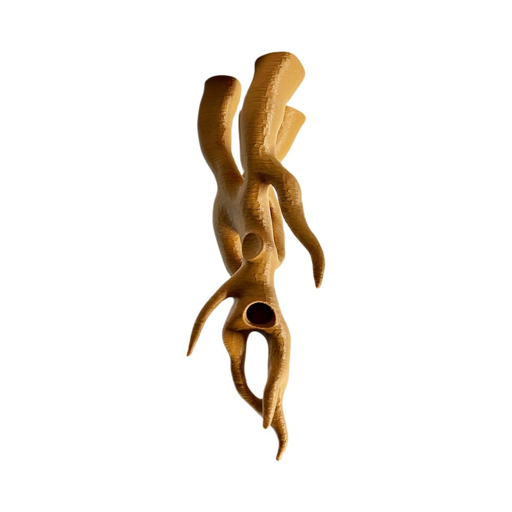 FHOS - Tangled Branch