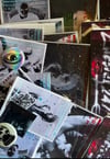 Lil Devilz sticker packs