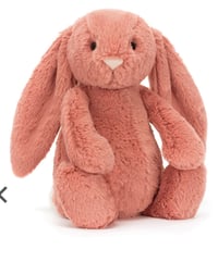 Bashful Sorrel Bunny Original 