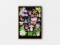 Image 6 of Orchid Family Poster