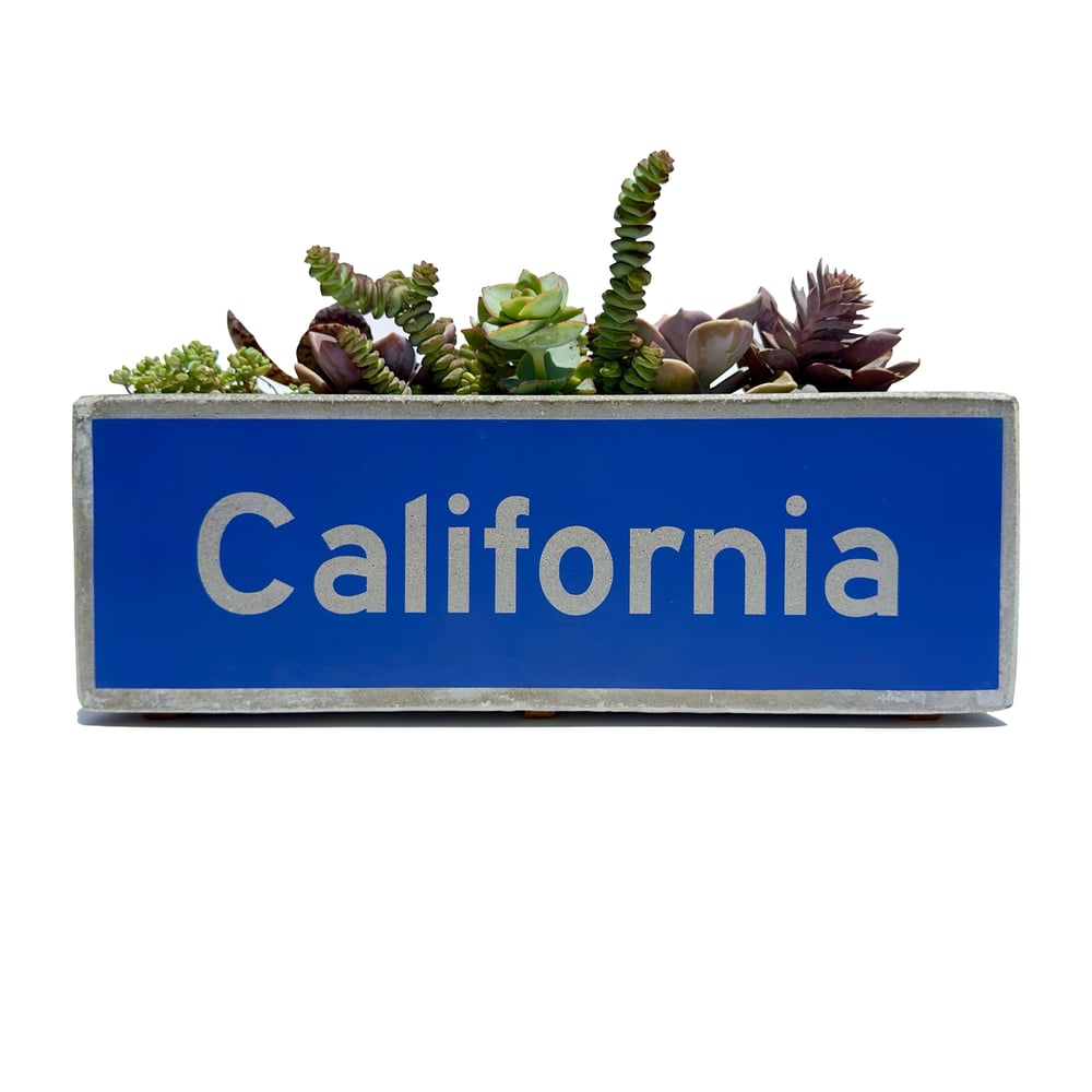 Image of California Concrete Street PLAnter