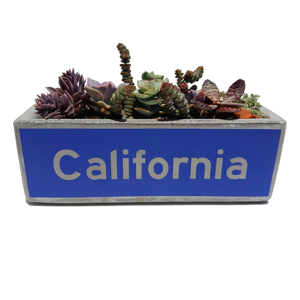 Image of California Concrete Street PLAnter