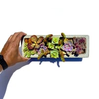 Image 3 of Concrete Street PLAnter