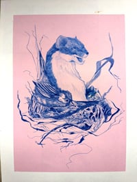 Image 1 of The Stoat and Warbler