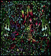 Floresta (100 x 90 cm)