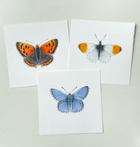 Image 1 of British Butterflies Trio of Prints