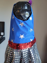 Image 4 of Patriotic Pet Dress