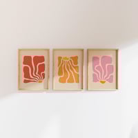 Image 2 of Kalendula